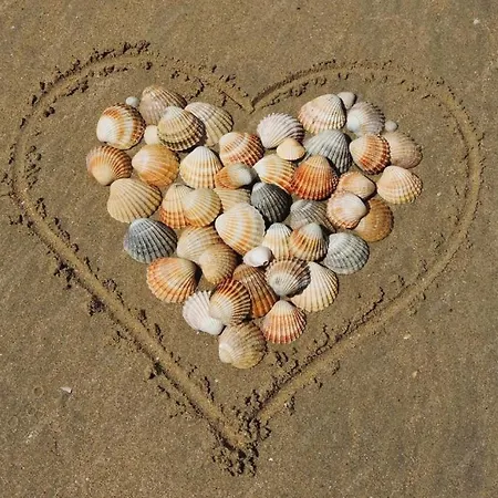 بيت للعطل Muschelschubser دانغاست